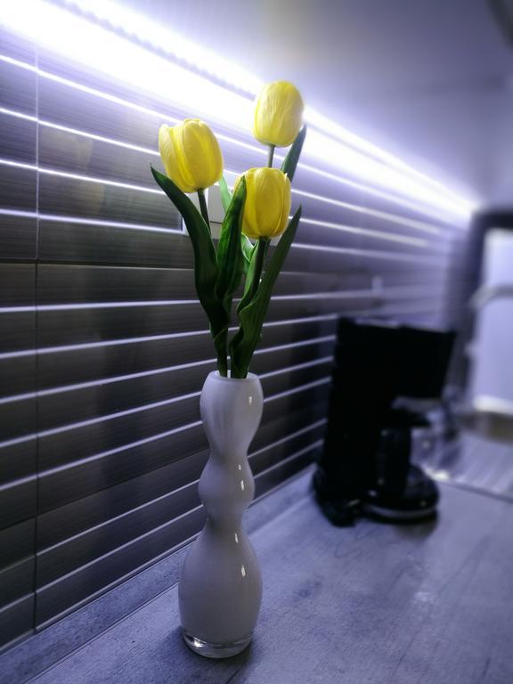 Apartment Cozy Šibenik Dış mekan fotoğraf
